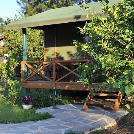Hobbit Evi Hotel Çıralı Camera foto